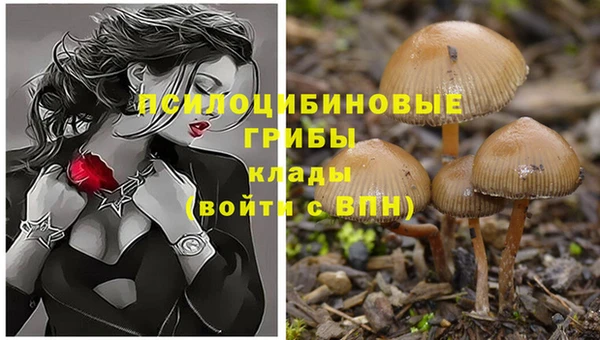 крисы Белоозёрский