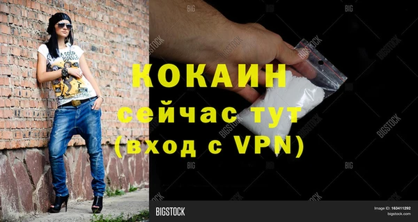 шишки Балахна