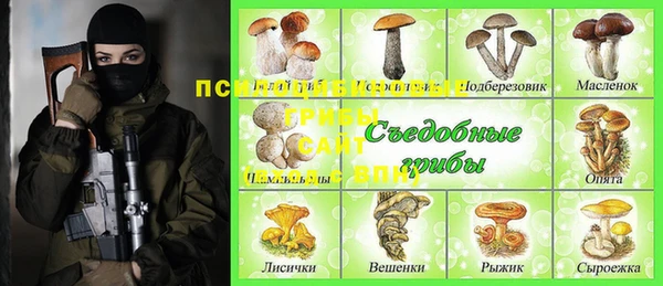 шишки Балахна