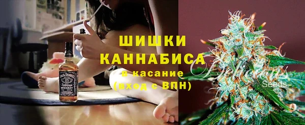 шишки Баксан