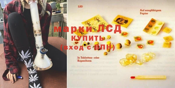 шишки Балахна